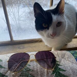 Authentic Ray-Ban Aviator Sunglasses